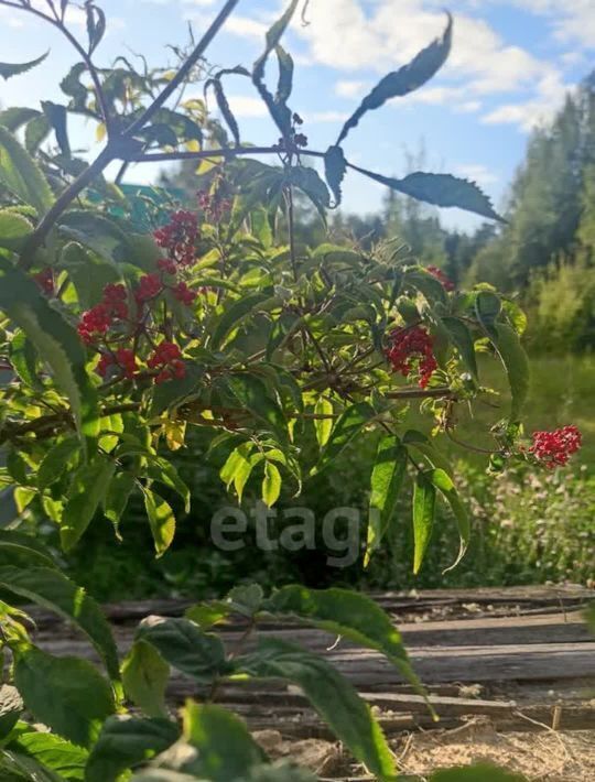 земля г Нягань проезд 3-й Набережной улицы, 10 фото 7