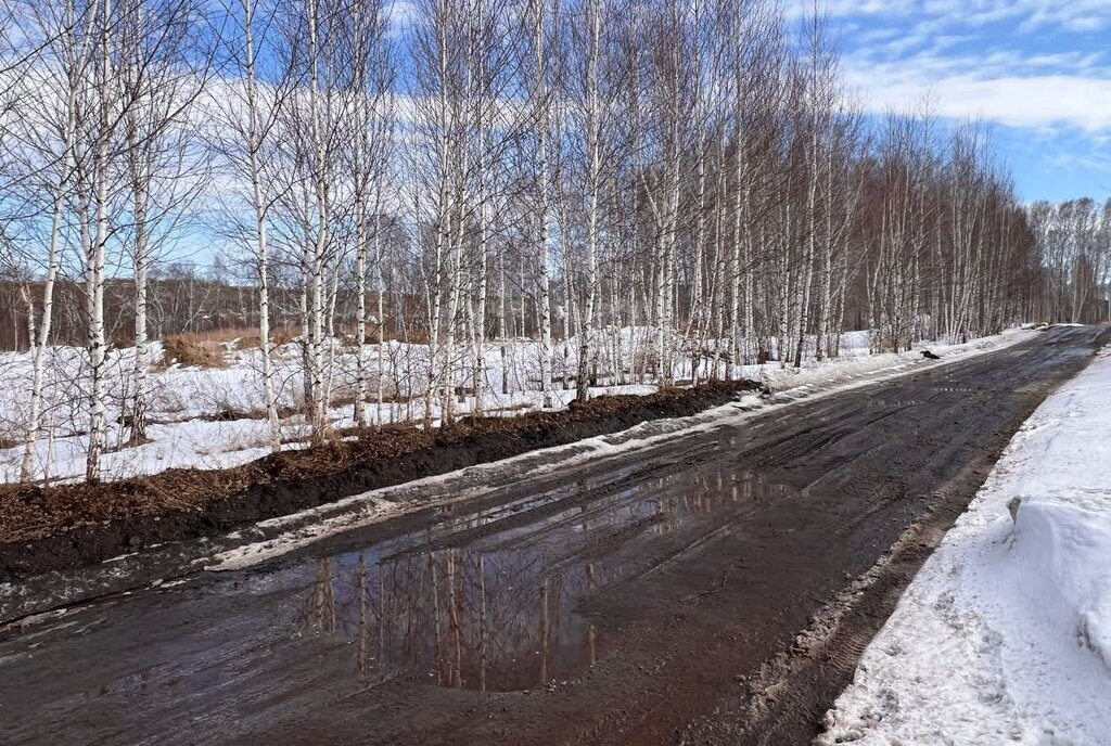 земля г Бердск снт Ива ул 4-я фото 1