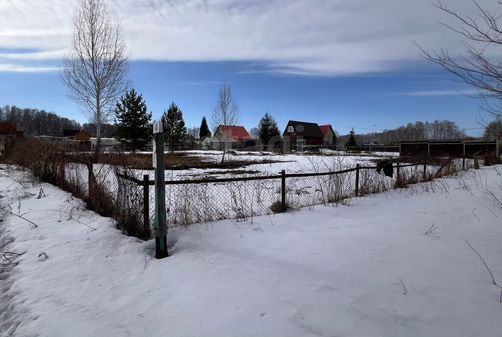 земля г Бердск снт Ива ул 4-я фото 3