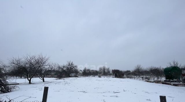 снт Бродок фото