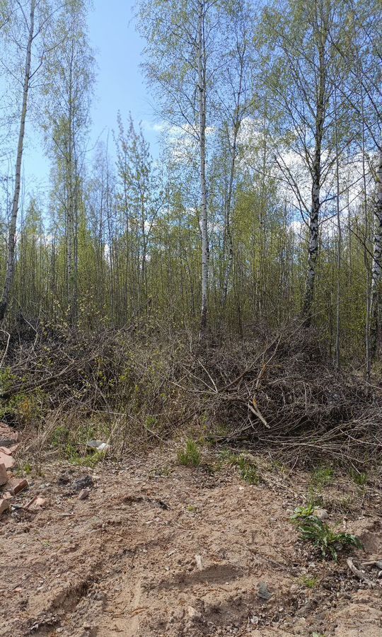 земля г Великие Луки ул Сосновая фото 4