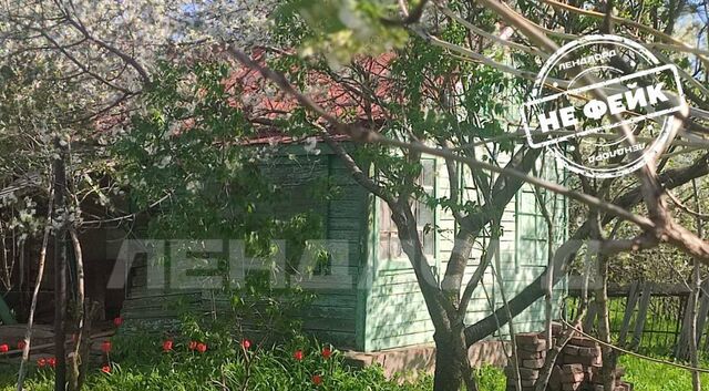 ул Центральная № 15 садовое товарищество фото