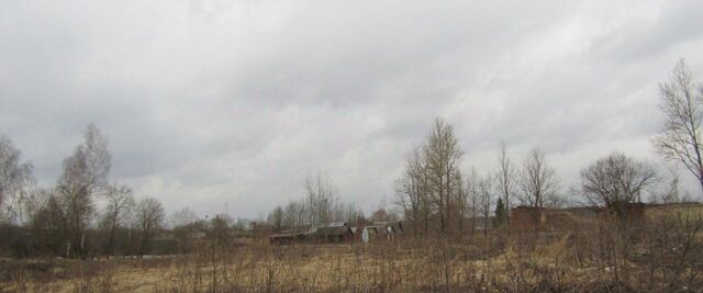 д Орешки фото