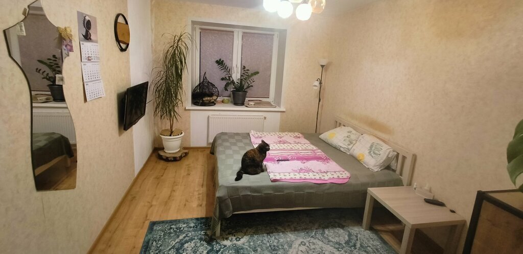 квартира г Великий Новгород Псковский ул Озёрная 14к/1 фото 12
