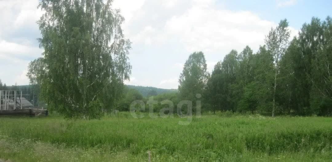 земля г Нижний Тагил с Сулём фото 3