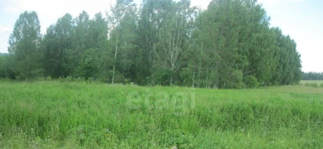 земля г Нижний Тагил с Сулём фото 4