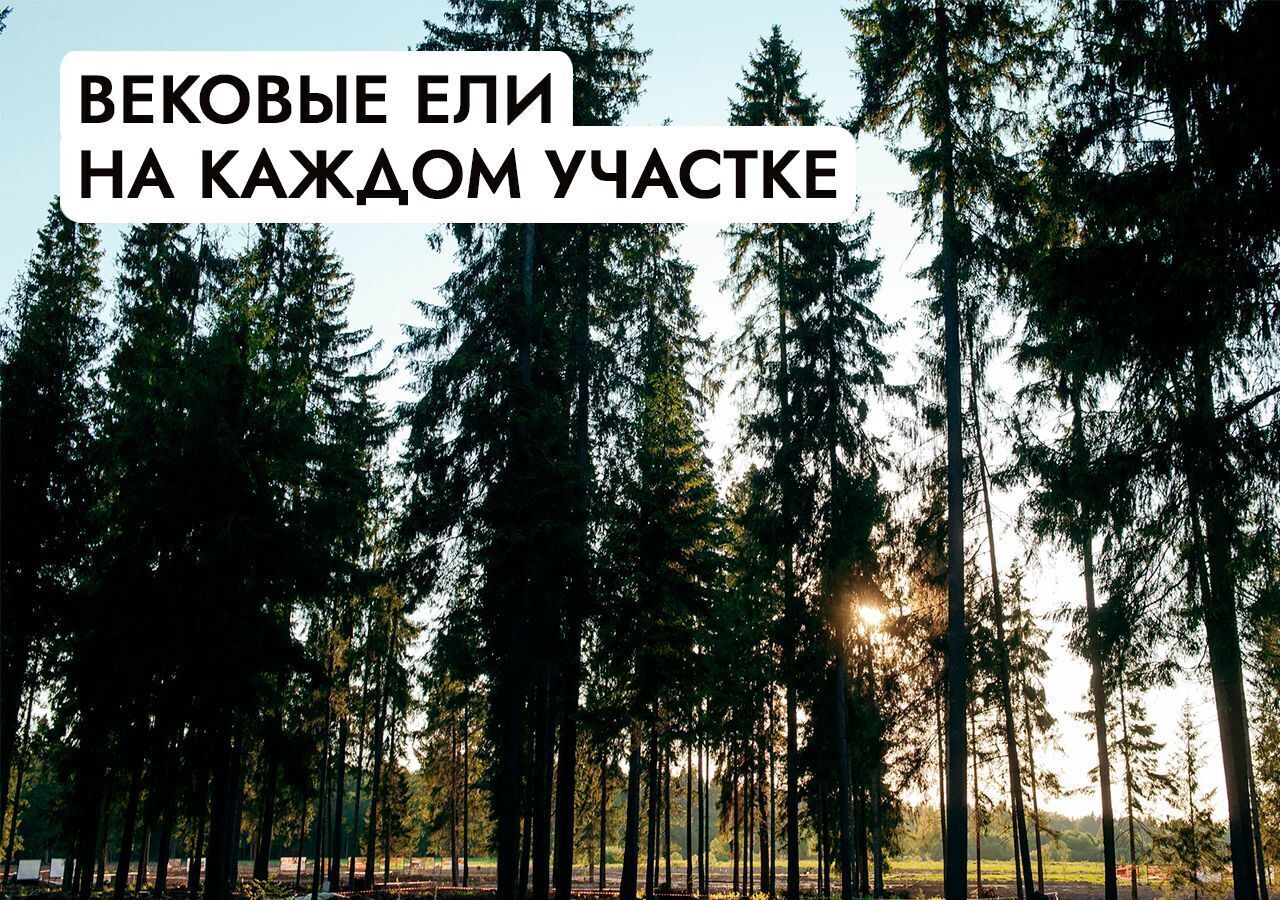 земля г Клин 54 км, эко-посёлок Ели эстейт, Новопетровское, Ленинградское шоссе фото 21