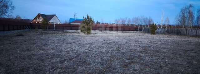р-н Читинский тер ДНТ Шишкино-Остров ул Казачья сельское поселение Шишкинское фото
