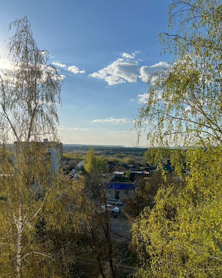 квартира р-н Нижнеломовский г Нижний Ломов ул Комсомольская 53 фото 7