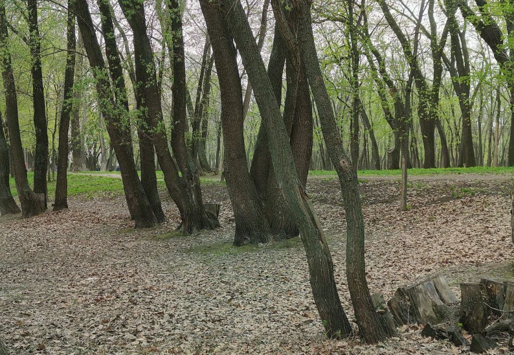 квартира г Самара р-н Куйбышевский ул Осетинская 13 фото 3