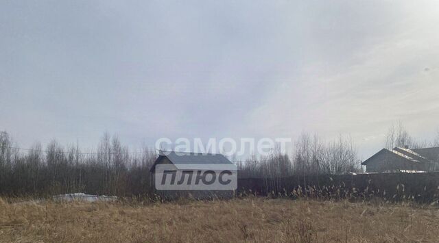 с Борковка фото