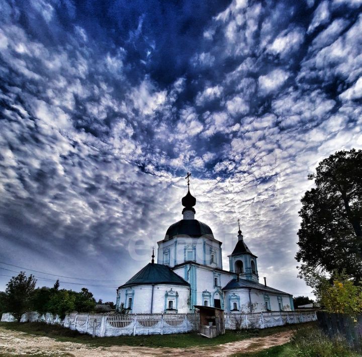 земля г Выкса фото 4