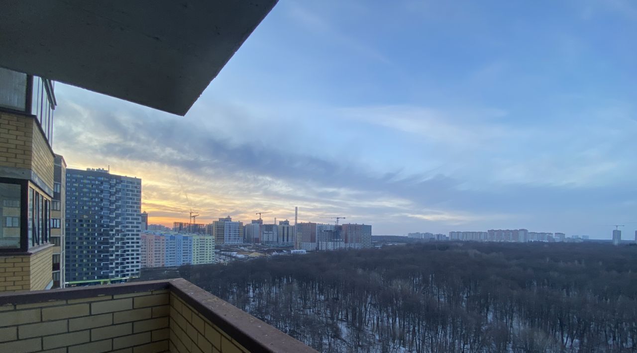 квартира г Воронеж р-н Центральный ЖК «Олимпийский» 5 Троицкий кв-л, жилмассив фото 13