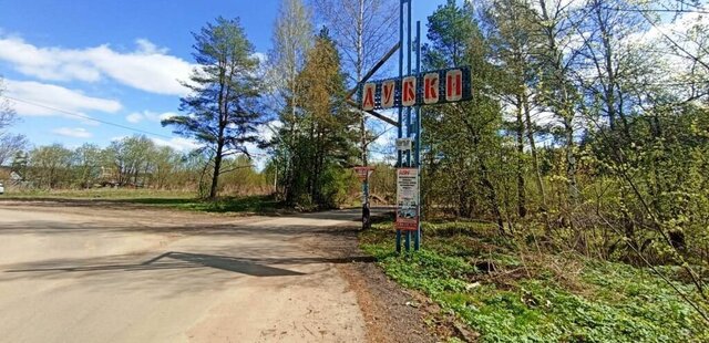 садоводческое товарищество Дубки фото