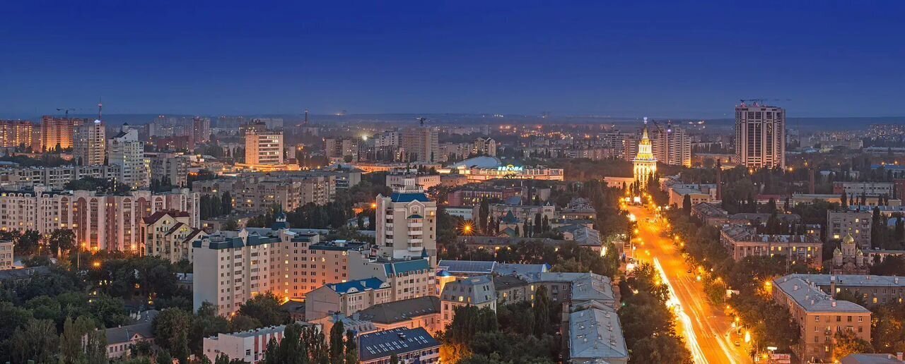 квартира г Воронеж р-н Ленинский ул Куколкина 18 фото 4