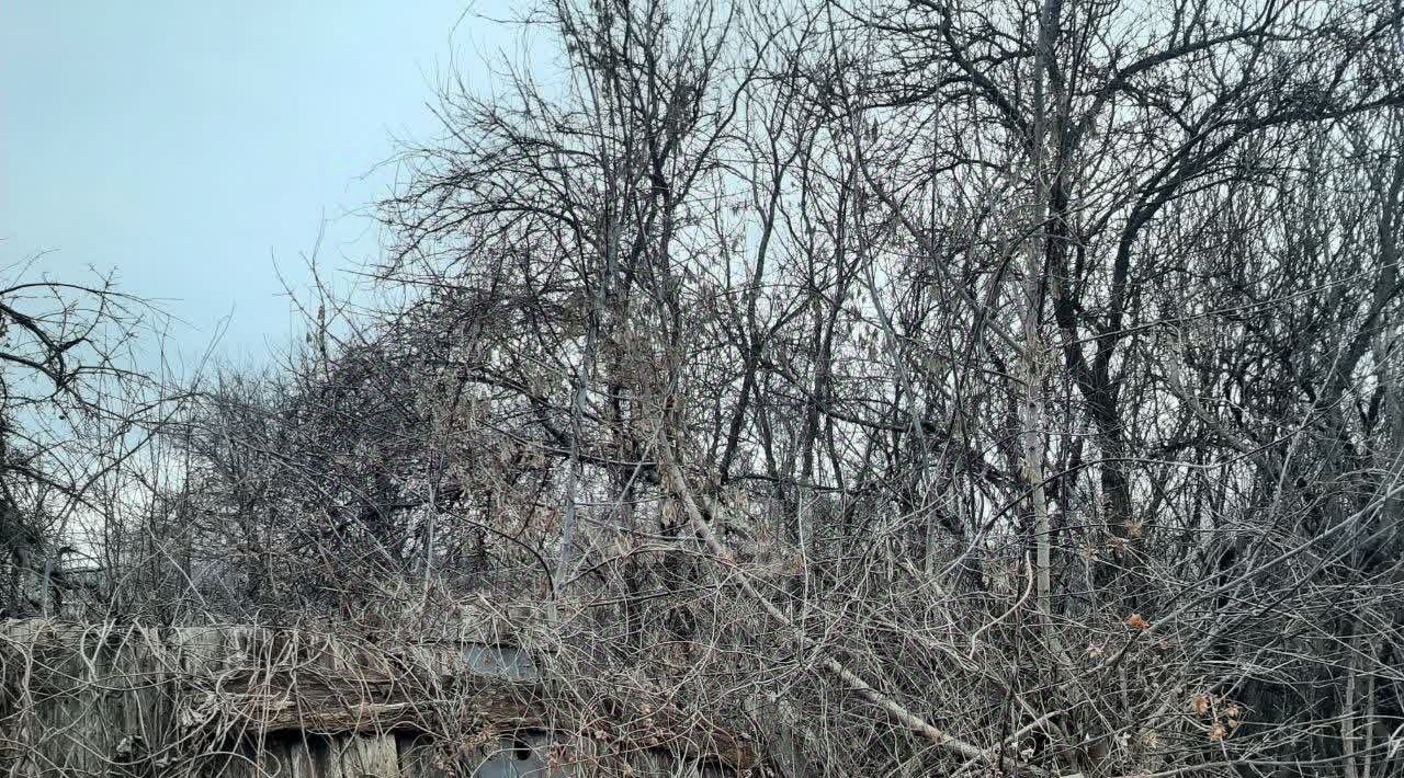 земля р-н Валуйский г Валуйки пер Победы 10б фото 14