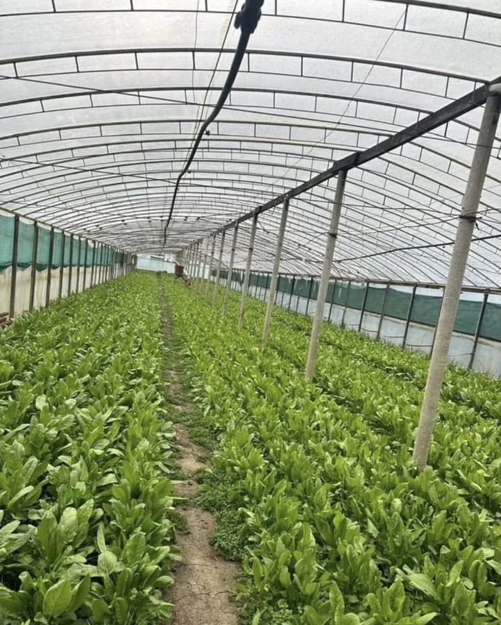 земля р-н Курганинский г Курганинск п Красное Поле Курганинское городское поселение, Константиновская фото 1