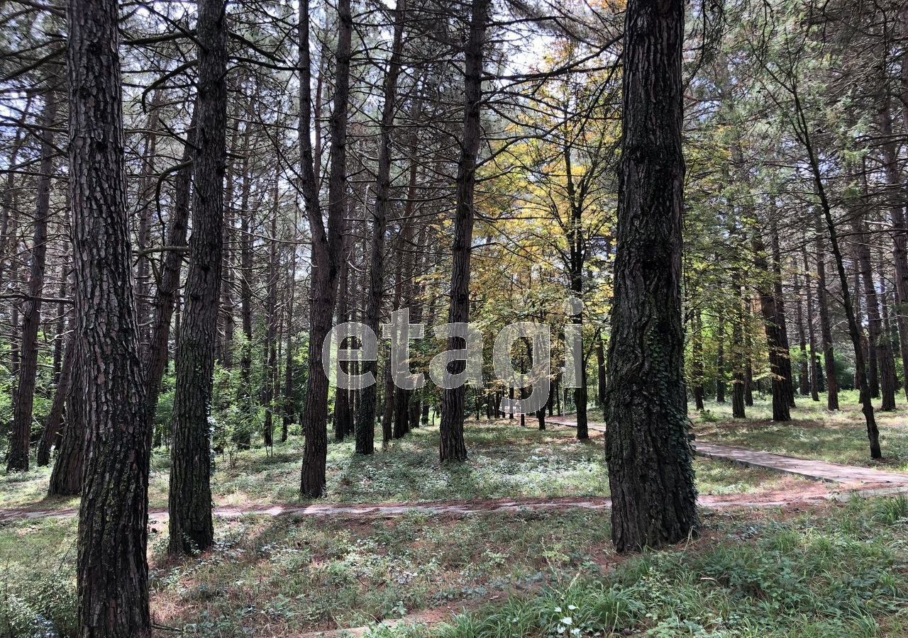 земля г Геленджик фото 2