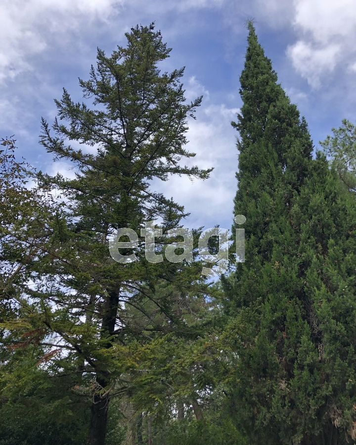 земля г Геленджик фото 14