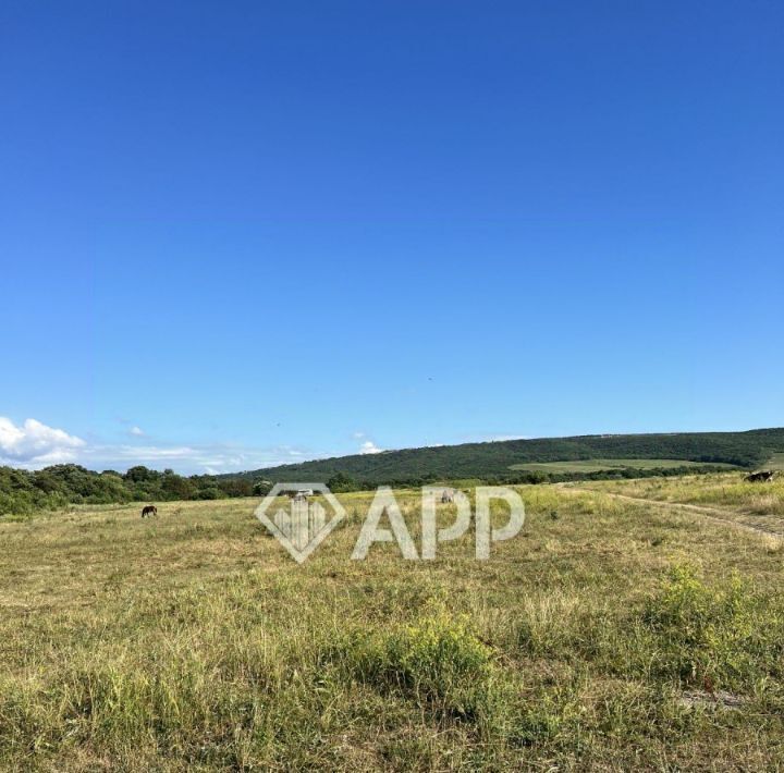 офис г Новороссийск х Семигорский фото 4