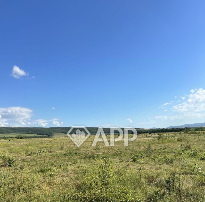 офис г Новороссийск х Семигорский фото 5
