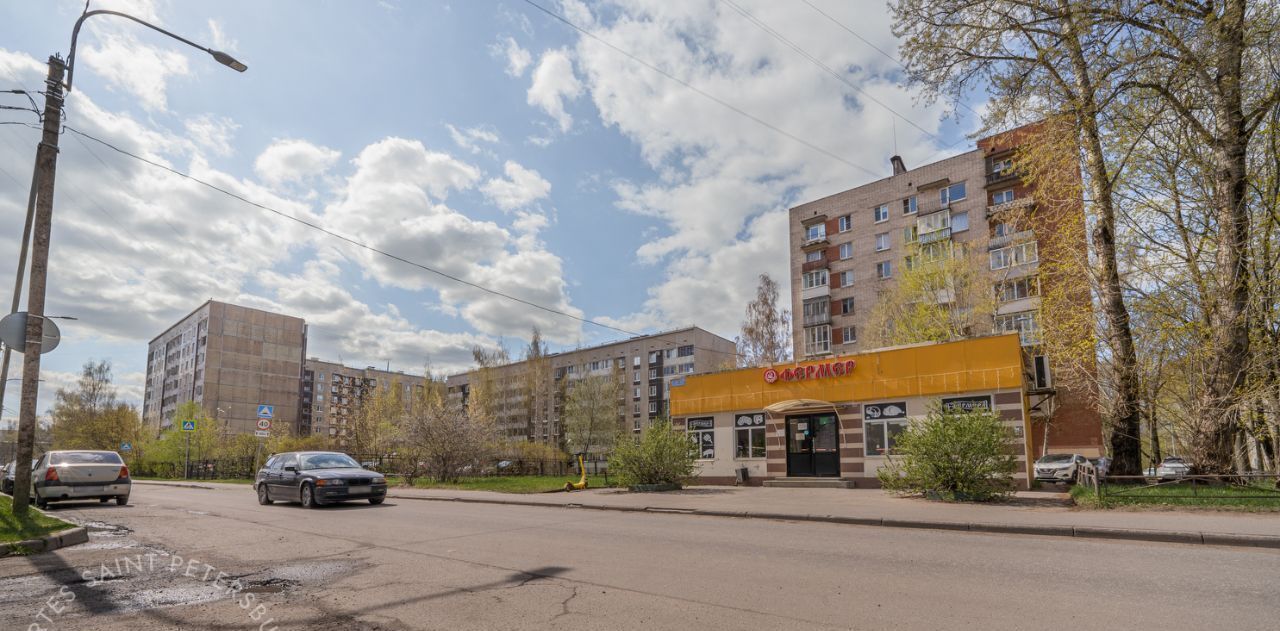 квартира г Колпино ул Павловская 54к/3 Дунайская фото 20