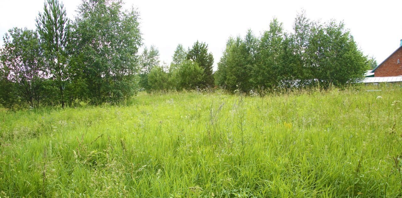 земля г Киселевск д Александровка ул Цветочная фото 4