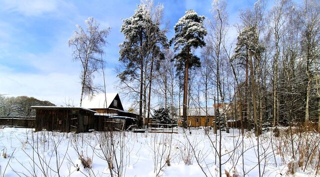Вырица городской поселок фото