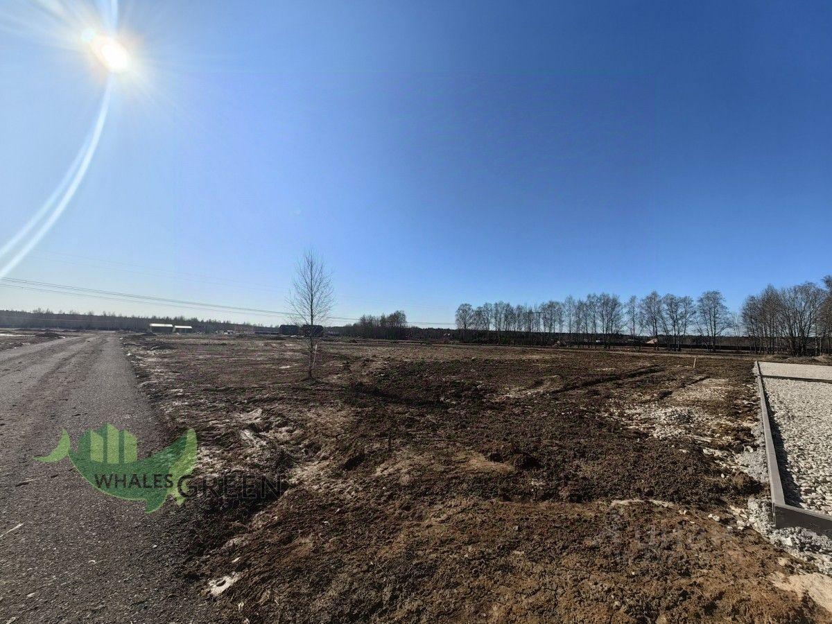 земля г Красногорск фото 6