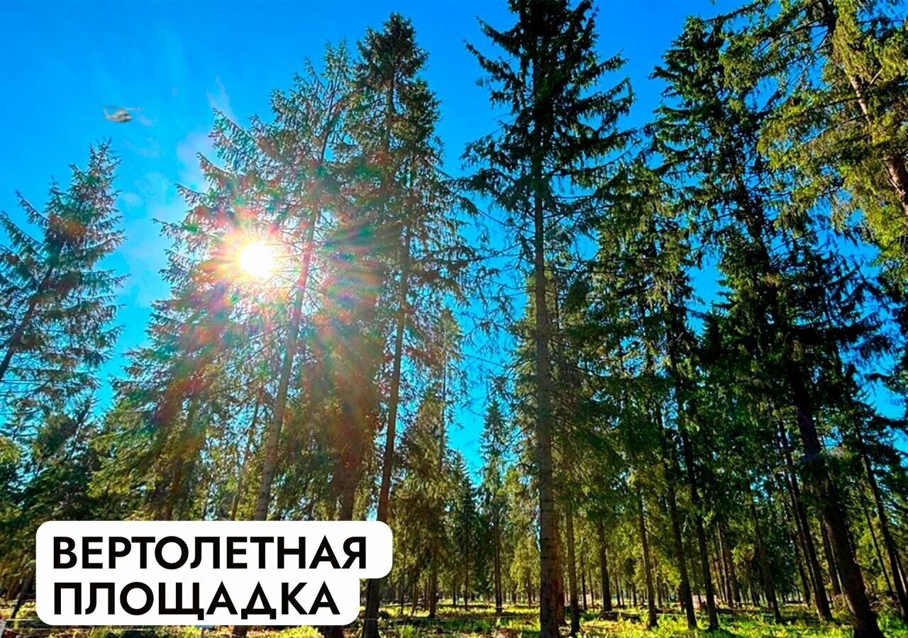 земля г Клин 54 км, эко-посёлок Ели эстейт, Новопетровское, Ленинградское шоссе фото 38