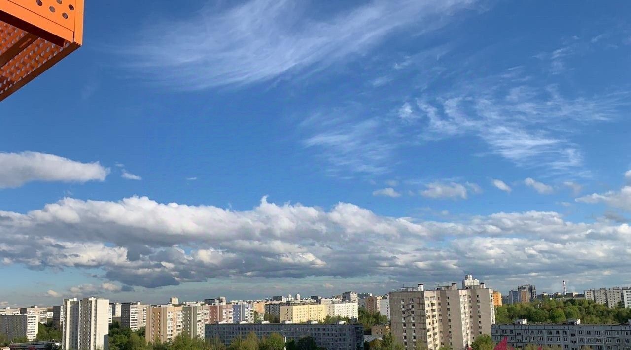 квартира г Москва ул 6-я Радиальная 7/6к 3 Каспийская фото 3
