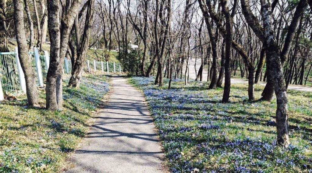 комната г Пятигорск б-р Гагарина 39 фото 22