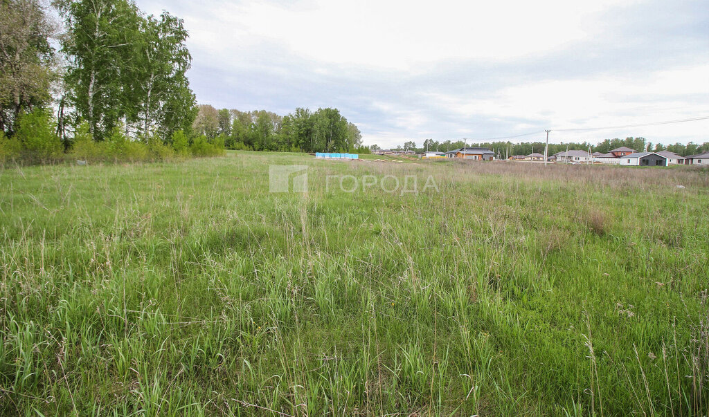 земля г Барнаул фото 4