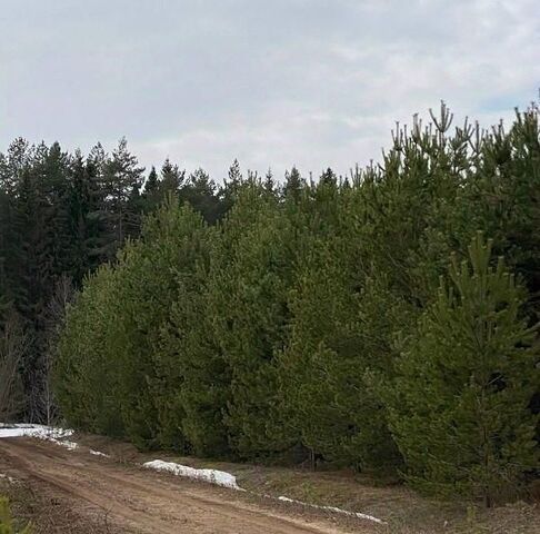 ул Благодатная 2 Шиховское с пос фото
