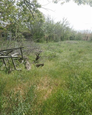 земля р-н Кировский пл Ленина фото