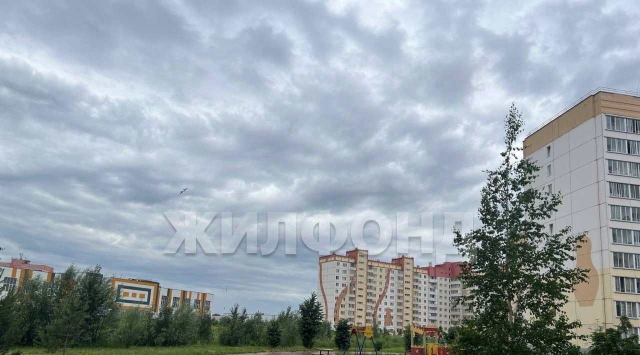 квартира г Новосибирск ул Дмитрия Шмонина 6 Площадь Маркса фото 9