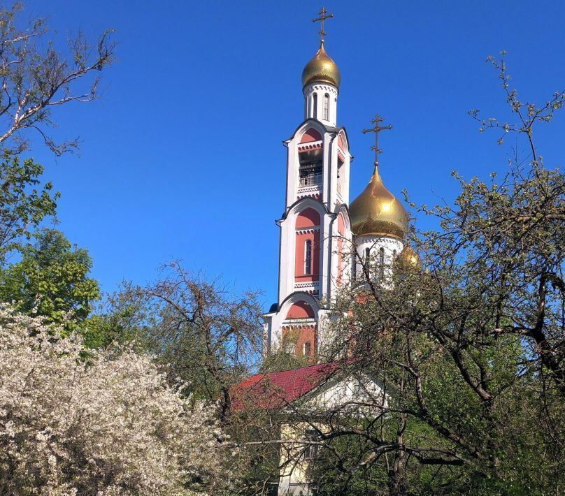 земля г Одинцово Баковка ул Маршала Неделина 4 фото 1