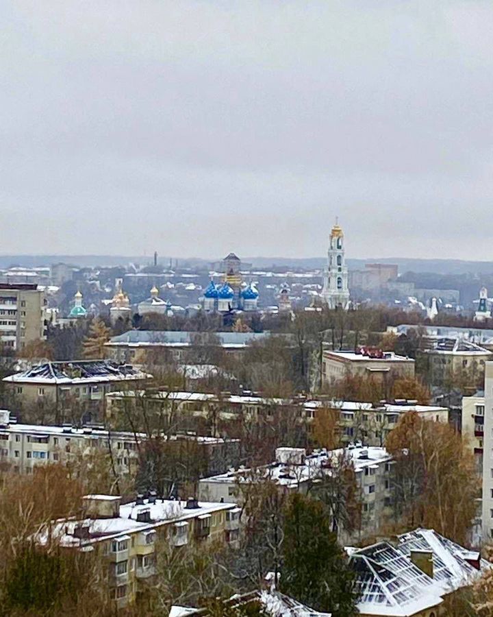 квартира г Сергиев Посад ул Инженерная 8 ЖК «Архимед II» Сергиево-Посадский г. о. фото 15