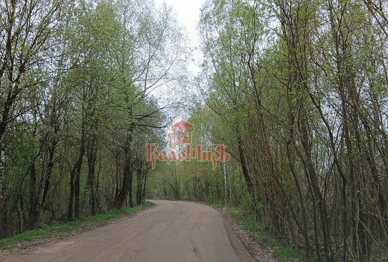 дом г Щёлково сад Заречный 56 км, 131, Дмитровский муниципальный округ, Дмитров, Дмитровское шоссе фото 23