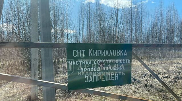 сад СНТ СН Кирилловка фото