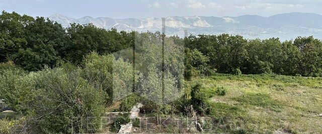 р-н Центральный пер Ромашковый фото