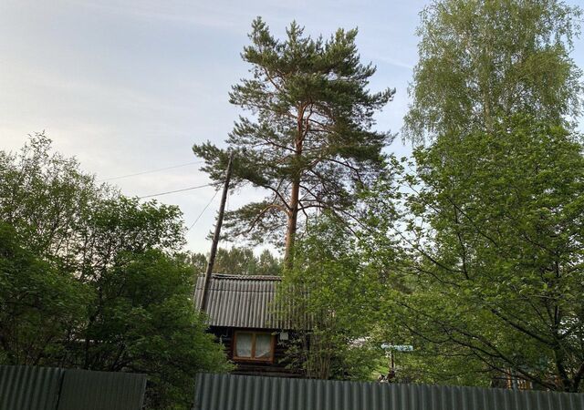 снт Нива р-н Южный массив, Ангарский г. о., Ангарск фото