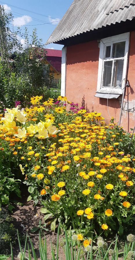 дом г Краснокамск д Мошни снт Лесное п Оверята фото 4