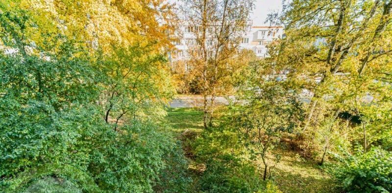 квартира р-н Светлогорский г Светлогорск ул Мичурина 1 фото 12