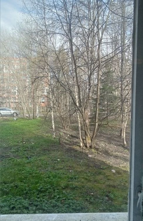 квартира г Зеленогорск Курортный ул Комсомольская 10 фото 7