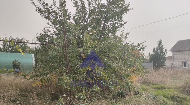 снт Волгодонской Садовод 379 фото