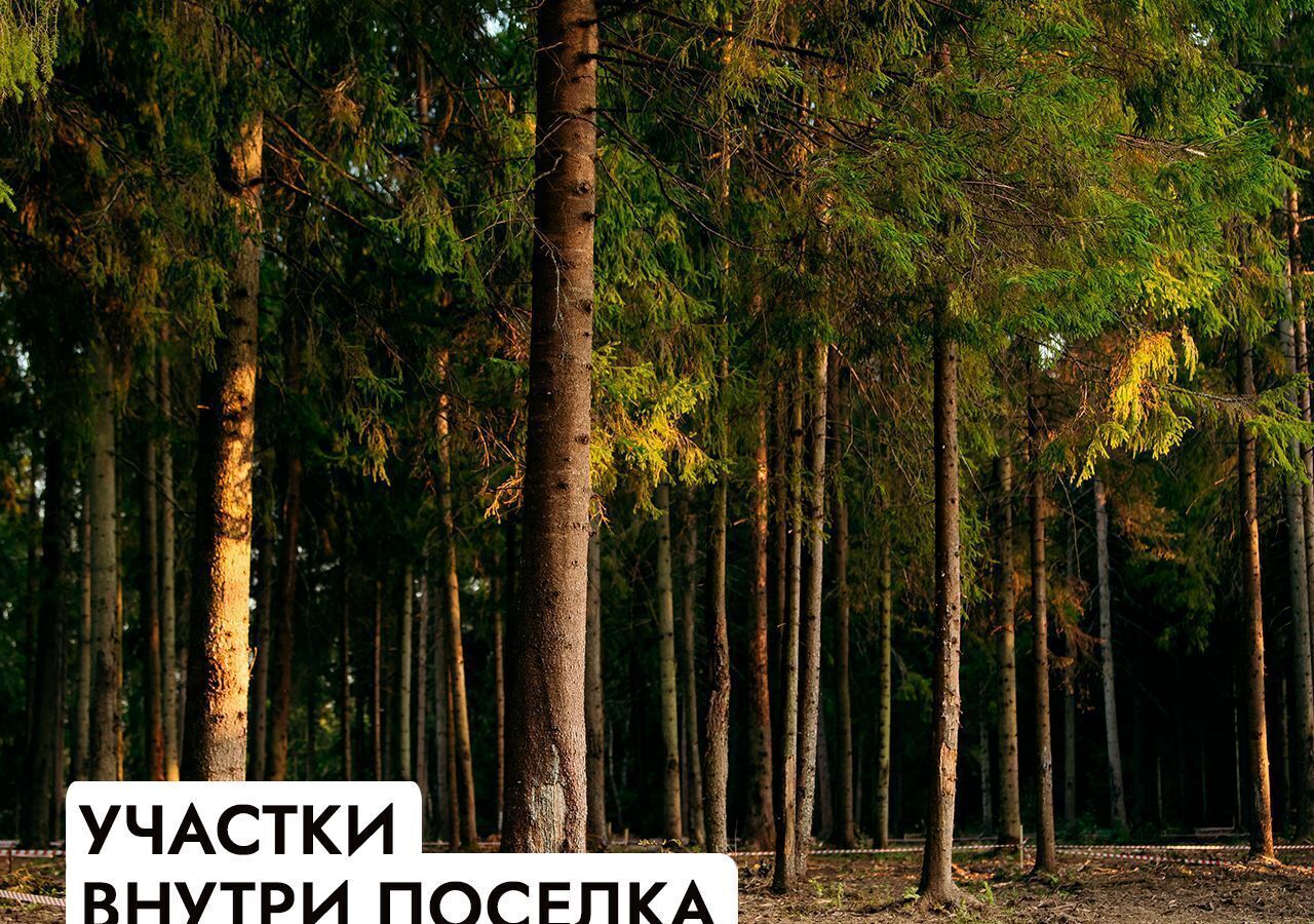 земля г Истра Павловская Слобода, 25 км, коттеджный пос. Монтевиль, Новорижское шоссе фото 27