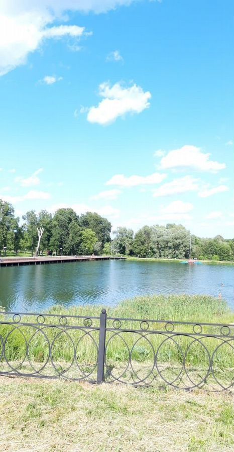 квартира г Серпухов ул Фрунзе 9а фото 20