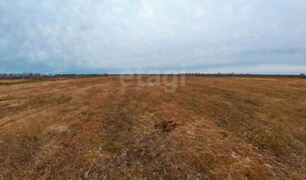 земля г Тюмень р-н Ленинский фото 9