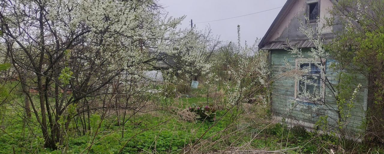земля р-н Городецкий г Заволжье ул Чкалова Балахнинский муниципальный округ фото 8